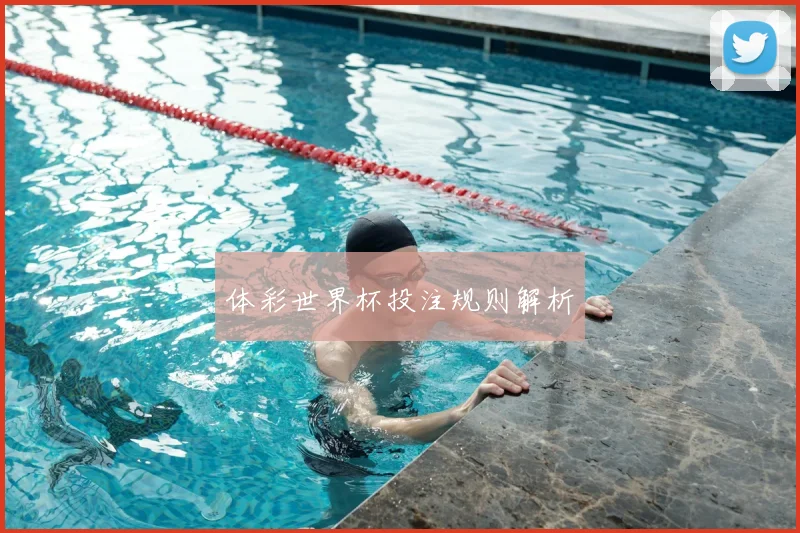 体彩世界杯投注规则解析