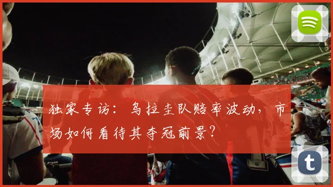 独家专访：乌拉圭队赔率波动，市场如何看待其夺冠前景？