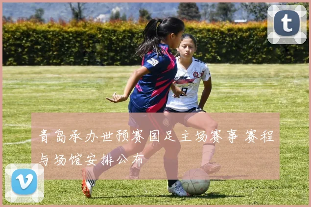 青岛承办世预赛国足主场赛事 赛程与场馆安排公布