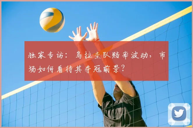 独家专访:乌拉圭队赔率波动,市场如何看待其夺冠前景?